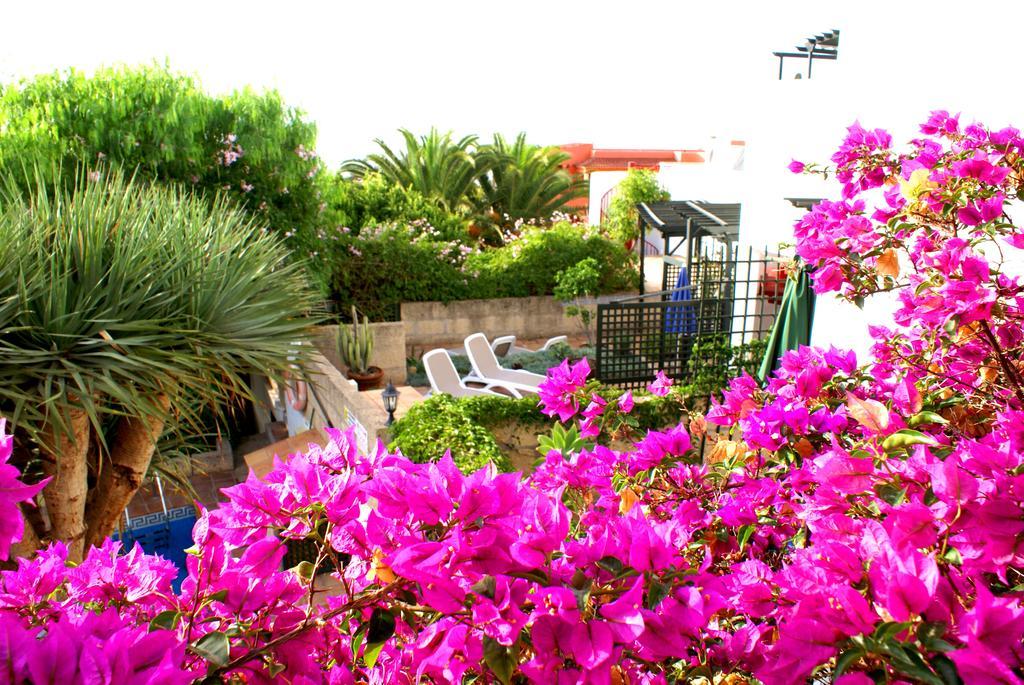 Casa San Miguel Apartamento San Miguel de Abona Exterior foto